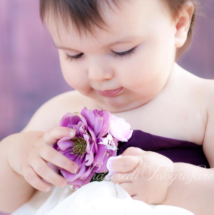 Viola