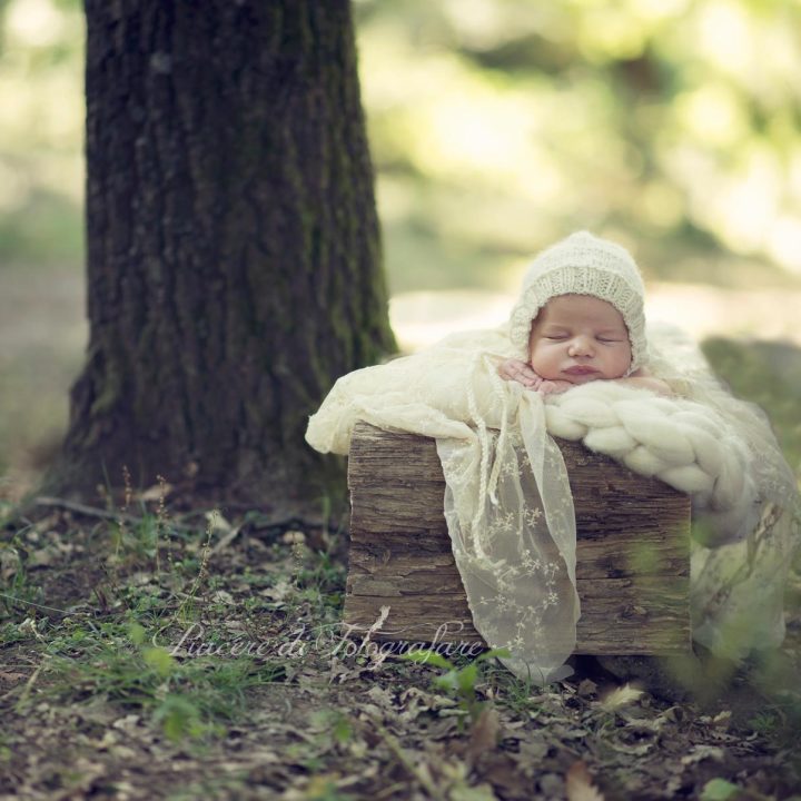 Neonato nel bosco