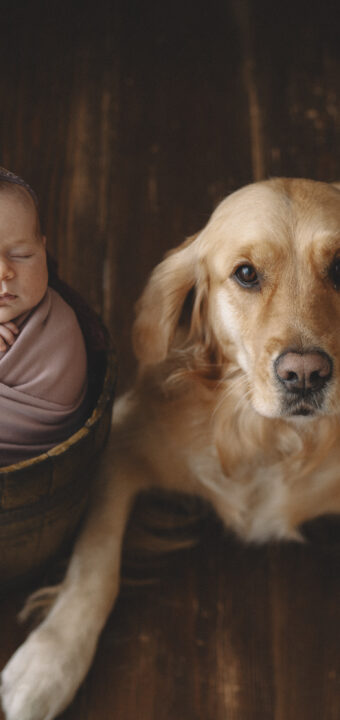 Beatrice